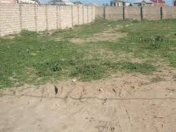 Satılır 100 sot torpaq Xaçmaz