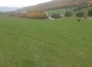 Satılır 1.2 sot torpaq Quba