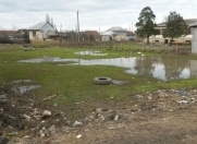 Satılır 10 sot torpaq Lənkəran