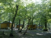 Satılır 28 sot torpaq Şamaxı