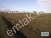 Satılır 170 sot torpaq Bərdə