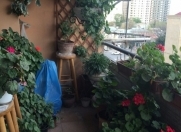 Satılır 3 otaqlı 89 m2 köhnə tikili Koala parkı