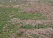 Satılır 12 sot torpaq Şəki