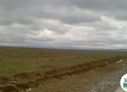 Satılır 200 sot torpaq Yevlax