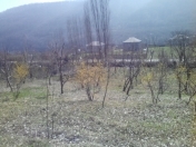 Satılır 10 sot torpaq Quba