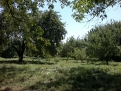 Satılır 12 sot torpaq İsmayıllı