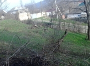 Satılır 10 sot torpaq Qusar