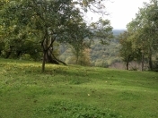 Satılır 12 sot torpaq Quba