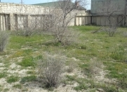 Satılır 8 sot torpaq Sumqayıt