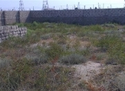 Satılır 14 sot torpaq Buzovna