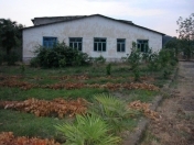 Satılır 8 otaqlı 1867 m2 obyekt Lənkəran