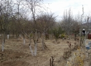 Satılır 3 sot torpaq Buzovna