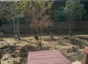 Satılır 5 otaqlı 150 m2 həyət evi Sumqayıt