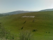 Satılır 15 sot torpaq Quba