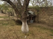 Satılır 7 sot torpaq Sumqayıt