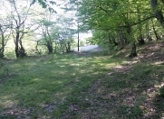 Satılır 34 sot torpaq Quba