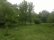 Satılır 18 sot torpaq İsmayıllı