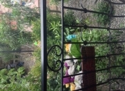 Satılır 3 otaqlı 200 m2 həyət evi Xırdalan