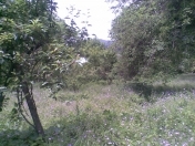 Satılır 12 sot torpaq İsmayıllı