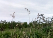 Satılır 210 sot torpaq Quba