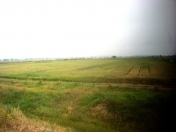 Satılır 53 sot torpaq Şəmkir