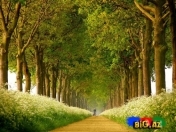 Satılır 7 sot torpaq Quba