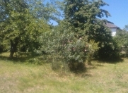 Satılır 20 sot torpaq Quba