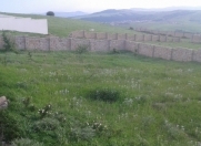 Satılır 6 sot torpaq Şamaxı