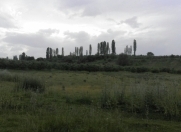 Satılır 8 sot torpaq Quba