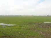 Satılır 440 sot torpaq Xaçmaz