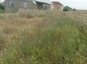 Satılır 3 sot torpaq Sumqayıt