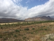 Satılır 160 sot torpaq Siyəzən