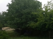 Satılır 15 sot torpaq Qusar