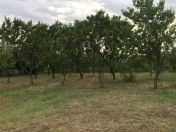 Satılır 28 sot torpaq Şamaxı