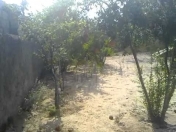 Satılır 20 sot torpaq Sabunçu r.