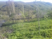 Satılır 10 sot torpaq Quba