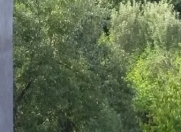 Satılır 10 sot torpaq Quba