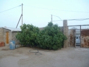 Satılır 7 otaqlı 100 m2 həyət evi Zirə