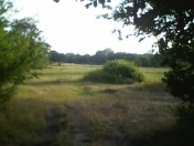 Satılır 70 sot torpaq Xaçmaz