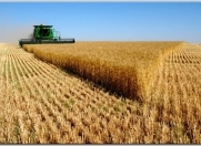 Satılır 288 sot torpaq Şamaxı