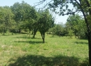 Satılır 10 sot torpaq İsmayıllı