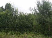 Satılır 4 sot torpaq Quba