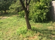 Satılır 30 sot torpaq Oğuz