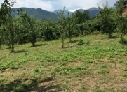 Satılır 12 sot torpaq İsmayıllı