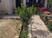 Satılır 3 otaqlı 100 m2 həyət evi Xırdalan