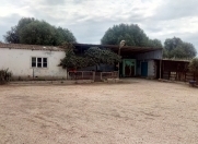 Satılır 3 otaqlı 2000 m2 obyekt Neftçala