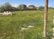 Satılır 30 sot torpaq Buzovna