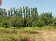 Satılır 20 sot torpaq Xaçmaz