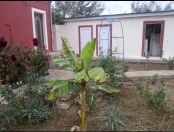 İcarəyə verilir 1 otaqlı 22 m2 həyət evi Zabrat 2