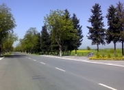 Satılır 42 sot torpaq Qax